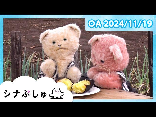 【赤ちゃんが喜ぶ】シナぷしゅ公式24/11/19│赤ちゃんが泣き止む・知育の動画