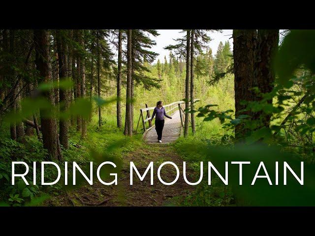 Exploring Manitoba's Most Popular National Park | Clear Lake, Wasagaming +  Wildlife