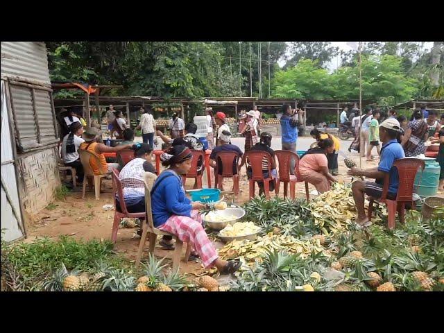 Pineapple Festival # Nalkata (Hmunbei) 82 miles Dhalai Tripura