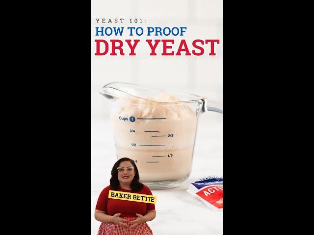 Yeast 101: How To Proof Dry Yeast