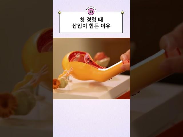 첫 경험 삽입이 아픈 이유