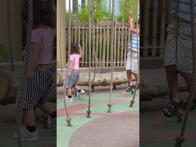 Mikey's wonderful world. more fun at the zoo ️