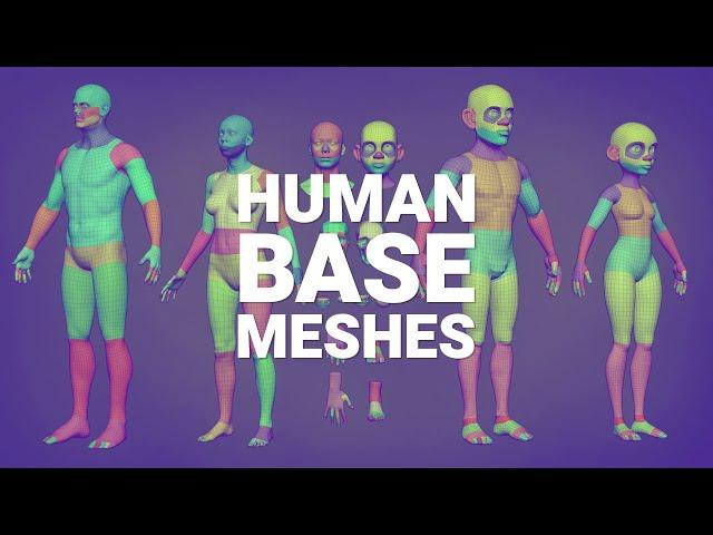 Base Meshes - Free Asset Bundle