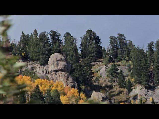 The Only Bigfoot Video We Need to See -  Many On Video - Ancient Petrified Forest