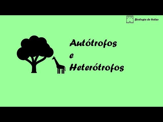 Autótrofos e Heterótrofos