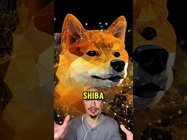 MAJOR SHIBA INU COIN NEWS! SHIBARIUM + SHIBASWAP!