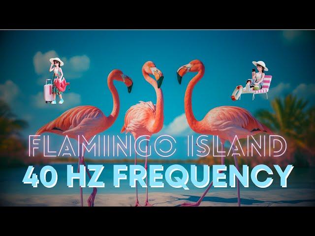 Flamingo Island️| Healing Relaxation Music & Captivating Exotic Visuals 40hz #Flamingo #Paradise