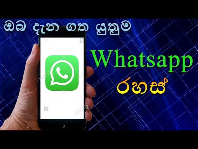 Whatsapp Top Secrets in Sinhala | Dew Tech LK