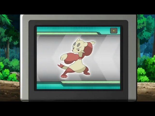 Mienfoo Pokédex Entries..wmv