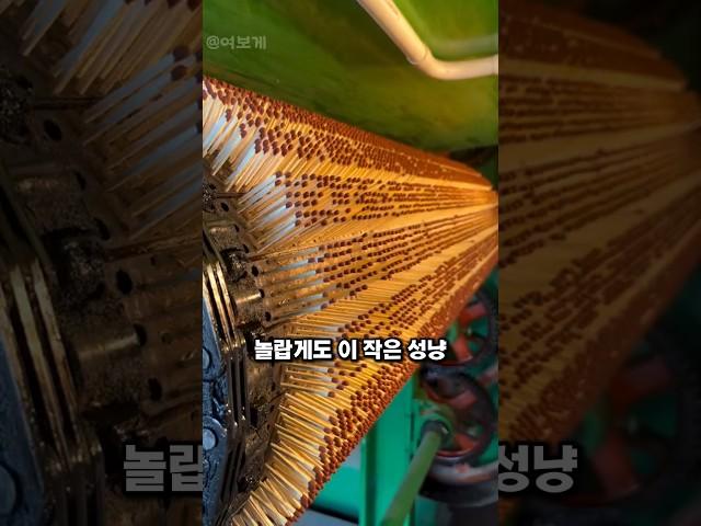 성냥 하나가 만들어지기까지… 상상 초월의 공정 #성냥제조과정, #인도공장, #수작업공정