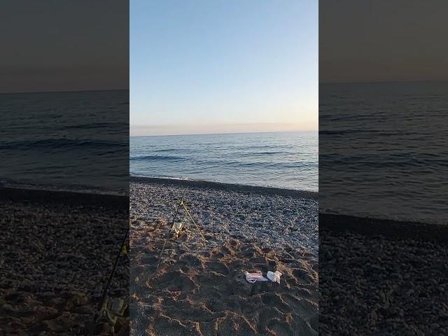 КРЫМ РЫБАКИ ЗАПОЛОНИЛИ СЕЛО ВЕСЁЛОЕ 11 ДЕКАБРЯ 2024 #крым #рыбалка #рыбаки #море #пляж
