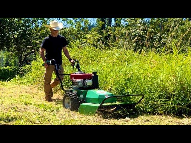 A BRUTE Of A Machine That Loves To Eat! - Billy Goat Outback Brush Cutter In Action