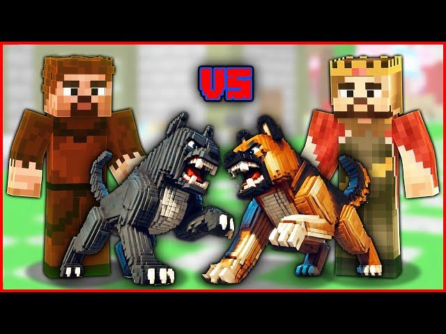 FAKİR KÖPEĞİ VS ZENGİN KÖPEĞİ KAVGA EDİYOR!  - Minecraft ZENGİN FAKİR HAYATI