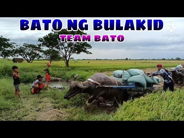 bato ng bulakid part 1 BUHAY BUKID JRTV