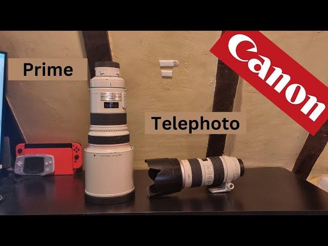 Prime vs Telephoto Lenses - Which should you get? What are the Pros and Cons?