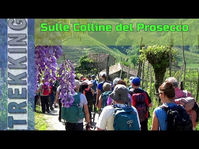 Sulle Colline del Prosecco