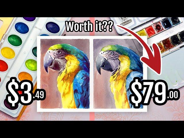 Cheap vs Expensive Crayola and Schmincke Watercolor Painting Comparison and Review