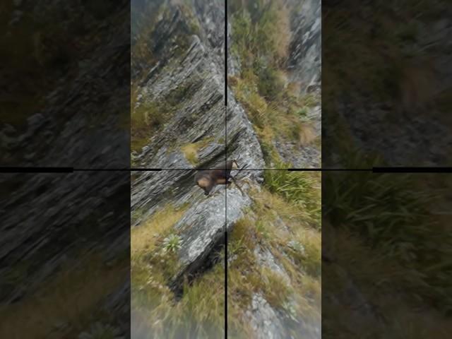  It ONLY has ONE horn! (Shot at 150 meters) #trophyhunting