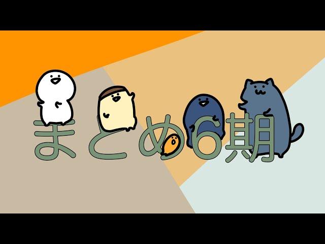 お文具のアニメ 第6期