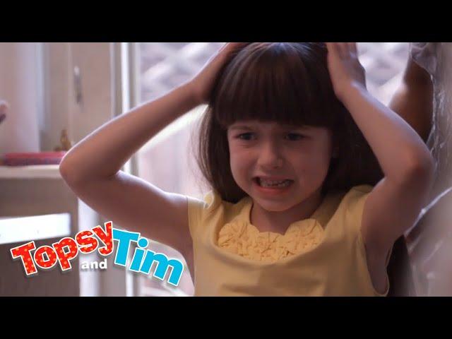 Itchy Heads | Topsy & Tim | Live Action Videos for Kids | WildBrain Live Action