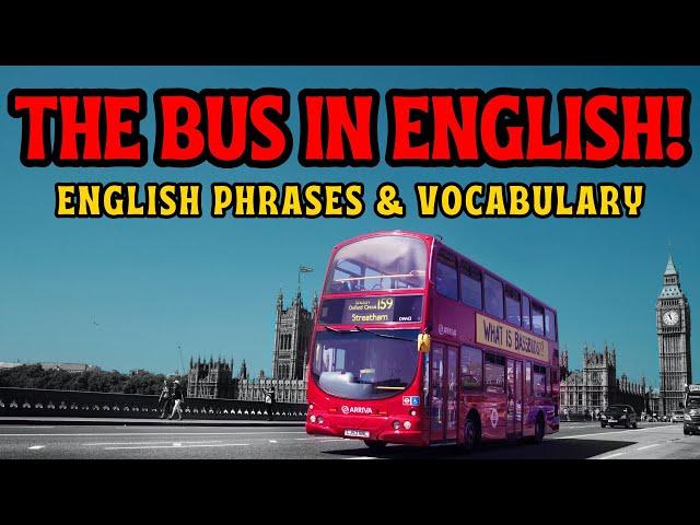  Bus Phrases & Vocabulary in ENGLISH | LearningEnglishPRO