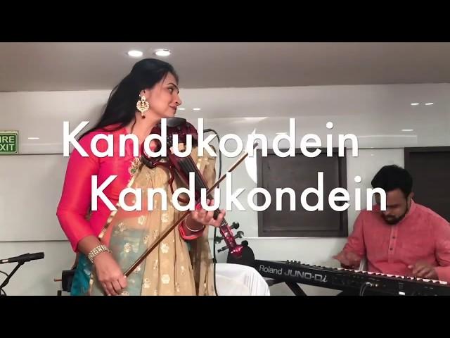 Vaadini - live instrumental concert by Violin Padma