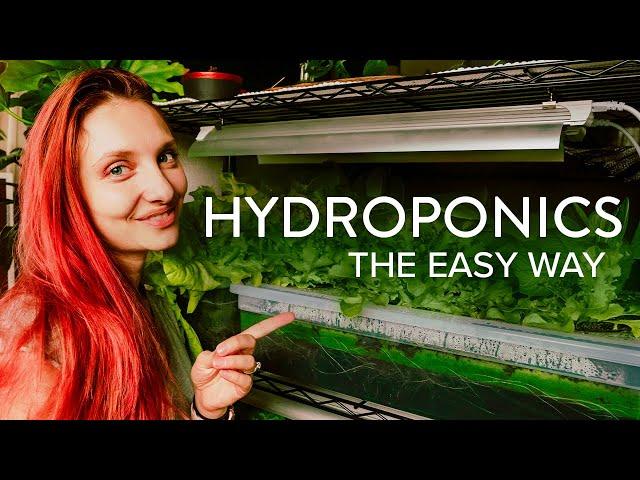 Hydroponics - The Easy Way - Indoor Gardening in an Apartment or Home