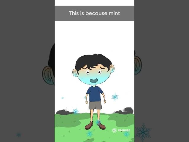 Why does mint feel cold in our mouths? | Interesting Facts | Embibe