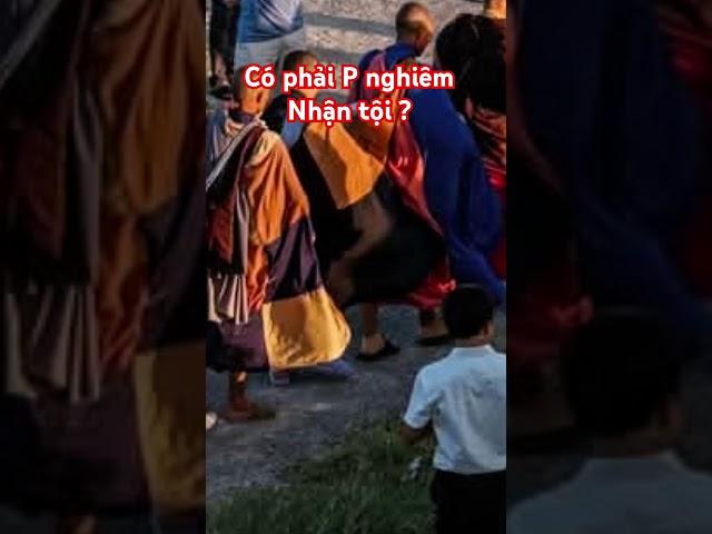 có phải P nghiêm nhận tội?#shorts #thichminhtue