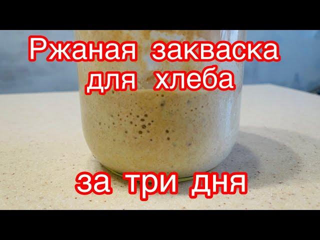 ЗАКВАСКА ДЛЯ ХЛЕБА ЗА ТРИ ДНЯ