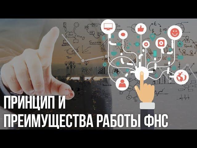 ФНС России: механизм работы налоговых органов