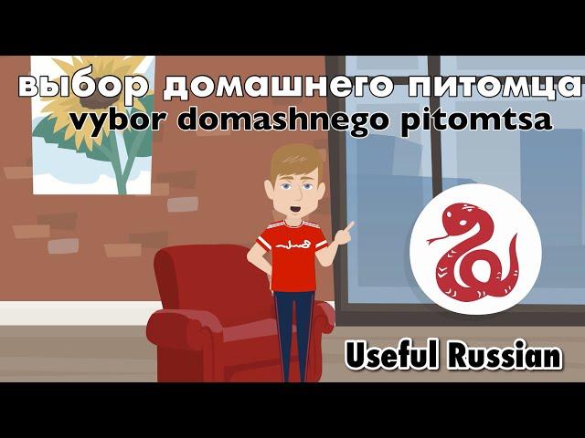 Learn Useful Russian: выбор домашнего питомца - Choosing a Pet