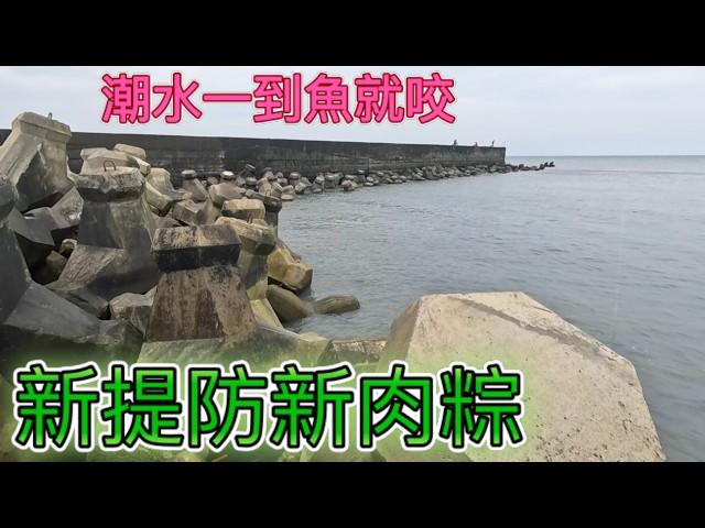 平凡的漁港.一個不起眼的角落.藏這豐富的魚群.太慢來了只釣3小時.釣魚人真的要早點出門才不會錯過.黃金的流水 #竹圍漁港 #彩虹橋 #遠投 #磯釣 #釣魚 #黃鰭雕 #烏魚 #合興釣具 #生牌南極蝦