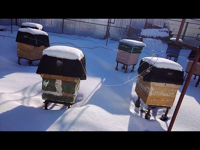 Сублимация пчеловодческого утепления .