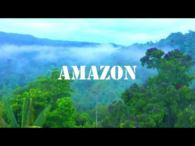 Escape to Serene Landscapes: Amazon 4K Relaxation Film and Calm Music