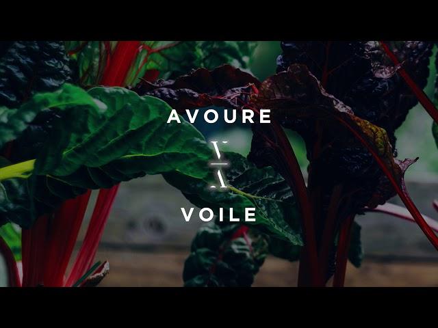 Avoure - Voile