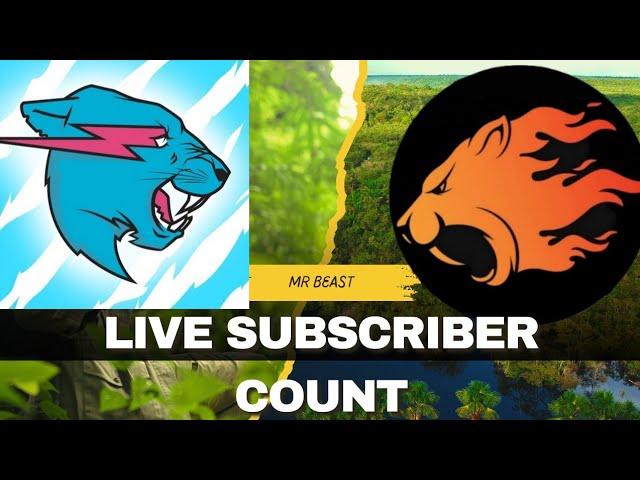 Mr Beast live subsciber count
