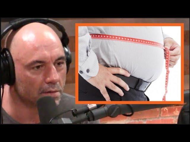 Joe Rogan - Why Obese People Can't Lose Weight