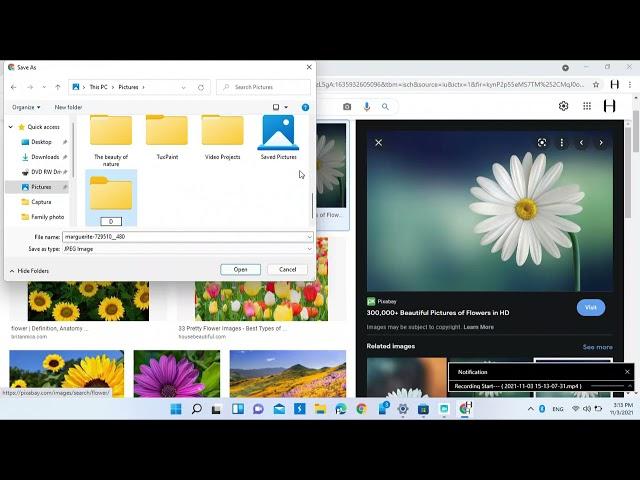 How to download an image using google chrome in windows 11 laptop