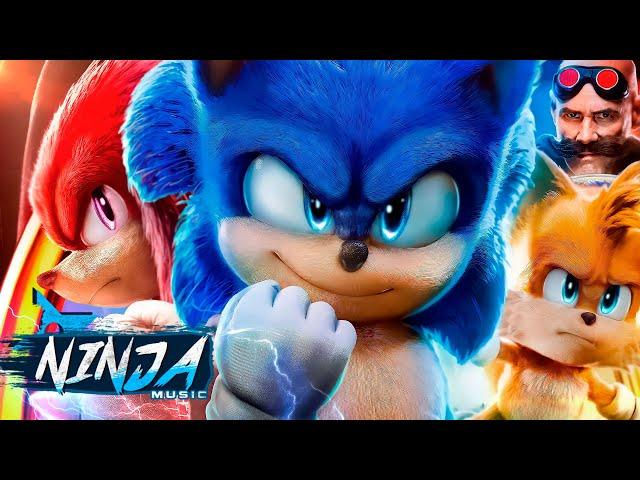 Ouriço Super-Sônico | Sonic (O Filme) | Ninja