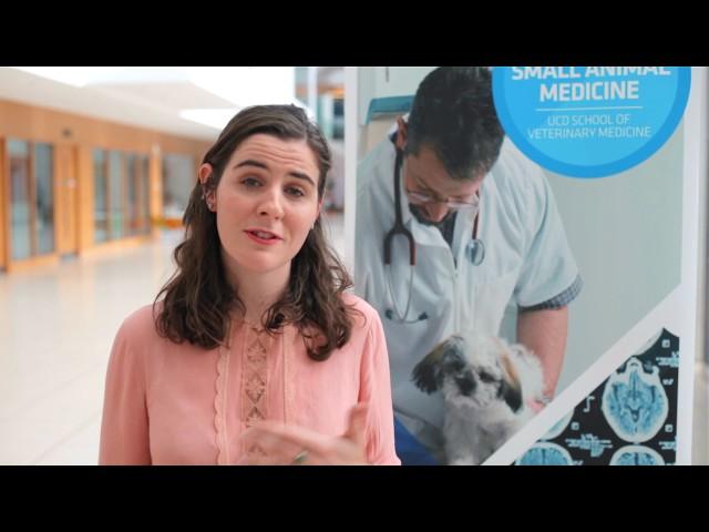 UCD Graduate Certificate in Small Animal Medicine - Student Testimonial