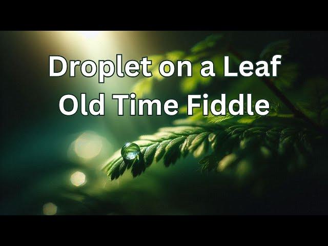 Droplet on a Leaf - Old Time Fiddle Tune