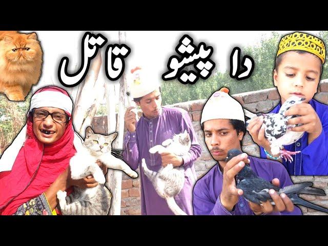 Da Pesho Qatil Pashto New Funny video By Tuti Gull Vines 2021