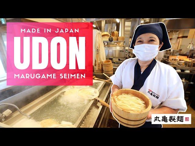 How Fast Food Udon Noodles are Made in Japan