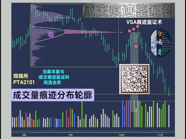 成交量分布轮廓应用概览