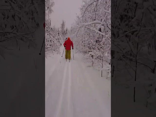 Лыжня Васкелово 69 километр . Петербург