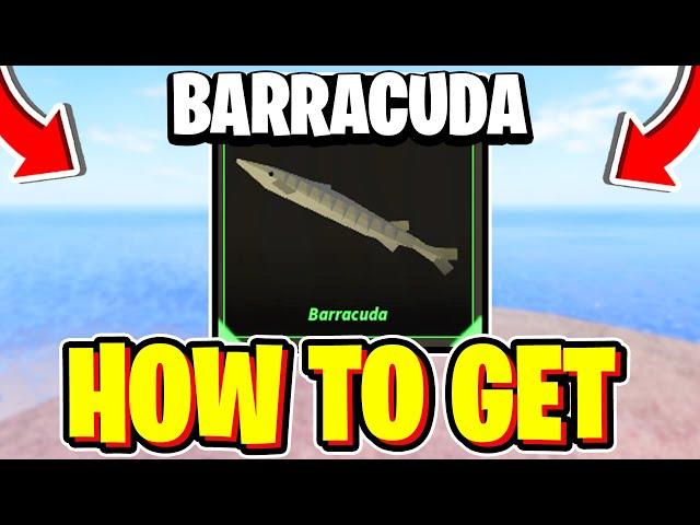 How To CATCH BARRACUDA In Fisch! Roblox