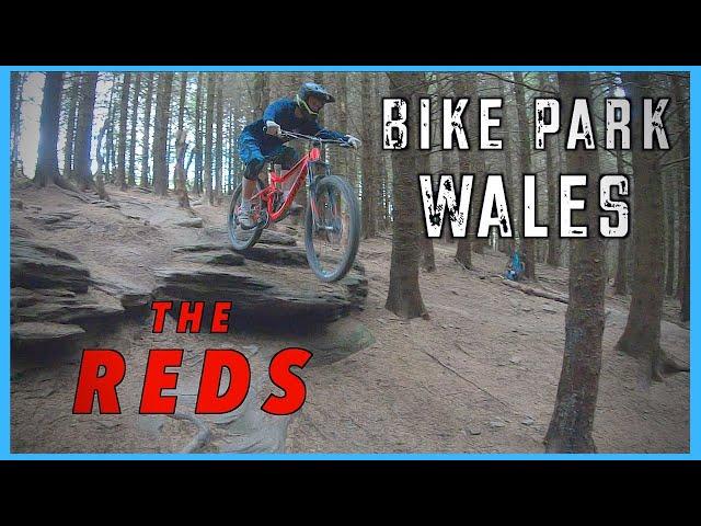 Bike Park Wales | The RED Mtb Trails