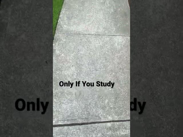 If You Study, You’ll Get The Answers | Bitcoin News | Dogecoin News