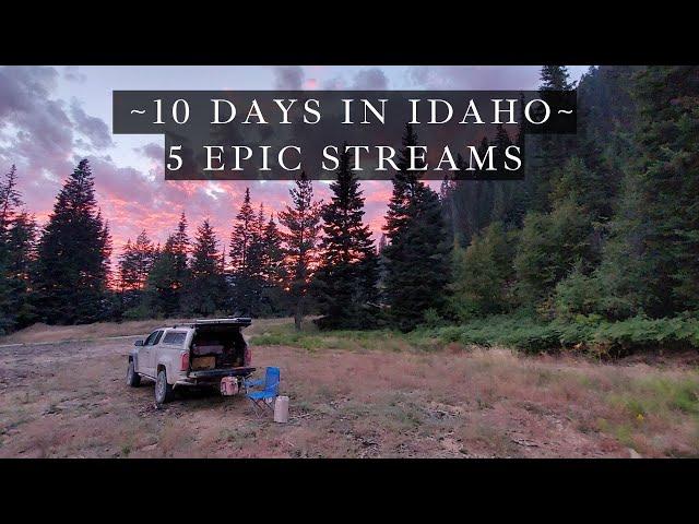 Fly Fishing Idaho - 10 days off the grid - 5 amazing streams!